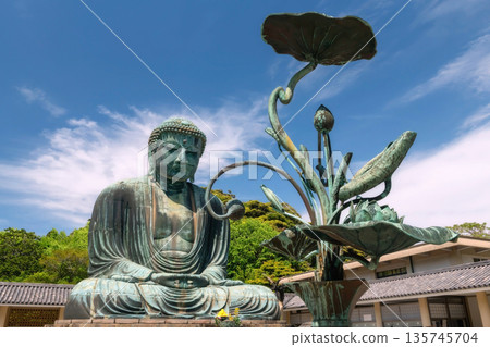 Kamakura Daibutsu great Buddha statue and lotus decor 135745704