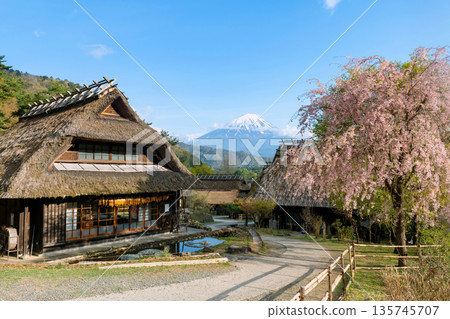 Saiko Iyashi no Sato Thatch house with mt. Fuji and sakura bloom Saiko Iyashi no Sato Thatch house with mt. Fuji and sakura bloom 135745707