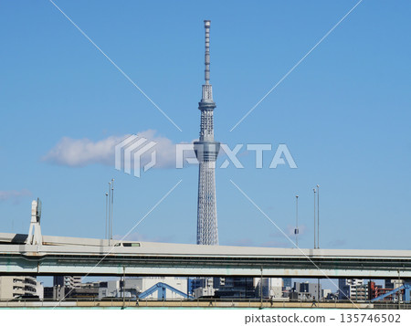 從永代橋看的天空樹 135746502