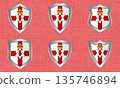 Set of metal shields with the Northern Ireland flag 135746894