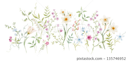 Horizontal watercolor floral composition banner with delicate spring flowers and greenery. Hand painted botanical illustration arranged as a wide decorative border, perfect for web banners, headers 135746952