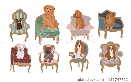 Dog Breeds in Empire Armchairs. Flat Vector Illustration Set 135747732
