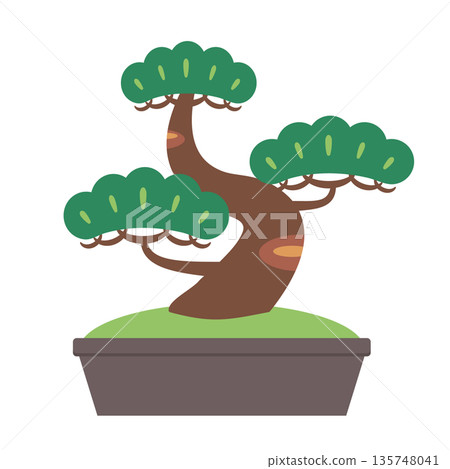 Simple pine bonsai illustration Simple pine bonsai illustration 135748041
