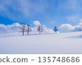 【北海道美瑛】冬季的七丘 【北海道美瑛】冬季的七丘 135748686