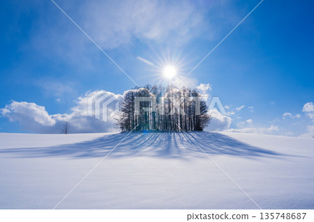 【北海道美瑛】冬季的七丘 【北海道美瑛】冬季的七丘 135748687