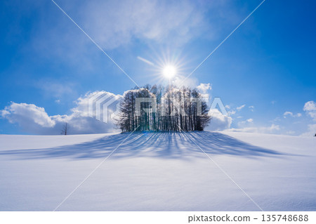 【北海道美瑛】冬季的七丘 135748688