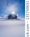 【北海道美瑛】冬季的七丘 【北海道美瑛】冬季的七丘 135748691