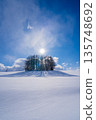 【北海道美瑛】冬季的七丘 【北海道美瑛】冬季的七丘 135748692