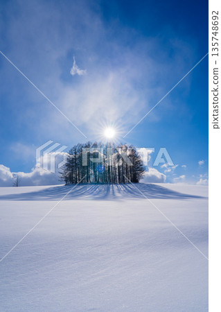 【北海道美瑛】冬季的七丘 135748692