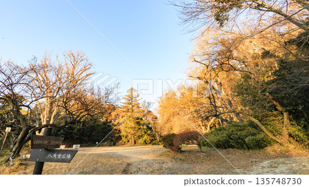Winter at Shomyoji Temple in Kanazawa Ward, Yokohama 135748730