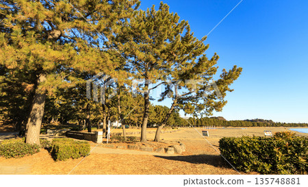 Winter at Umi no Park in Kanazawa Ward, Yokohama 135748881