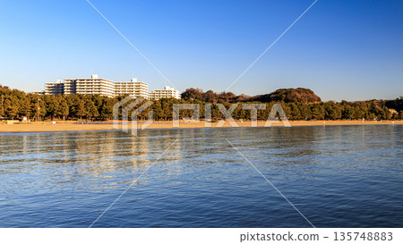 Winter at Umi no Park in Kanazawa Ward, Yokohama 135748883