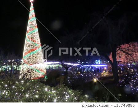 足利花卉公園“照明塔” 足利花卉公園“照明塔” 135749096