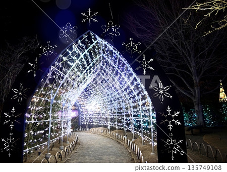 Ashikaga Flower Park "The Four Seasons of Japan" Winter 135749108