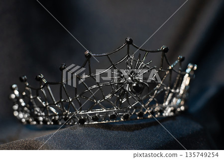 Gothic crown diadem with spider and web. Gothic crown diadem with spider and web. 135749254