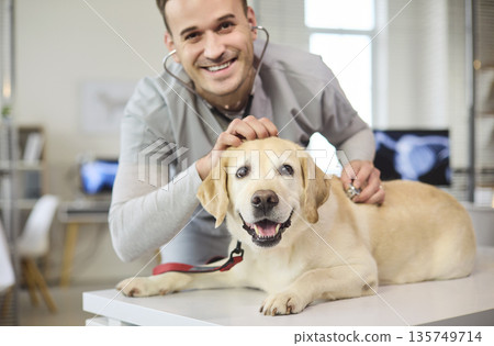 Happy Labrador with Veterinarian During Checkup in Modern Bright Pet Clinic 135749714