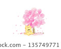 Watercolor illustration of a cute cat enjoying cherry blossom viewing 135749771