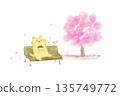 Watercolor illustration of a cute cat enjoying cherry blossoms on a bench 135749772
