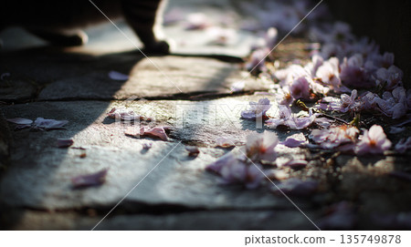 櫻花飄落地面 生成式人工智慧 135749878