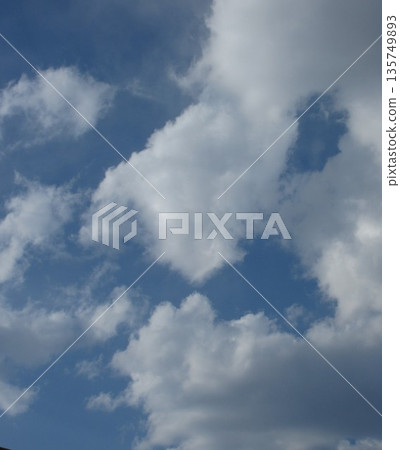 人臉雲 人臉雲 135749893