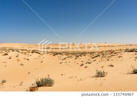 People on a desert dune against a clear blue sky. Exploring vast sand landscape 135749967