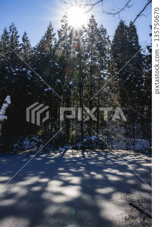 樹影和冬日的陽光灑在結冰的池塘上 135750670