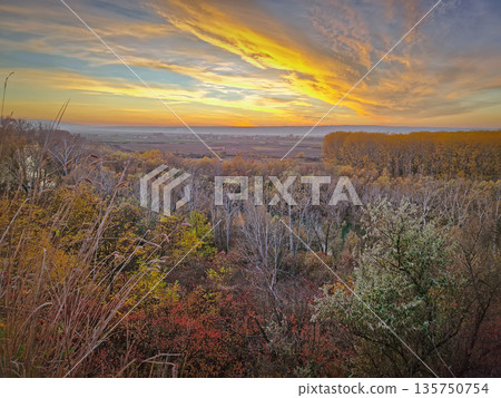 Breathtaking autumnal landscape with a panoramic view of a valley at sunset. Tall grasses and bare branches frame the foreground, leading to a dense forest of multicolored trees 135750754