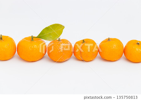 Sakurajima Komikan, said to be the smallest mandarin orange in the world, is a specialty of Kagoshima Prefecture. 135750813
