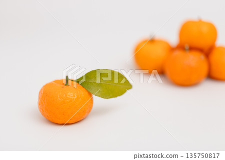 Sakurajima Komikan, said to be the smallest mandarin orange in the world, is a specialty of Kagoshima Prefecture. 135750817