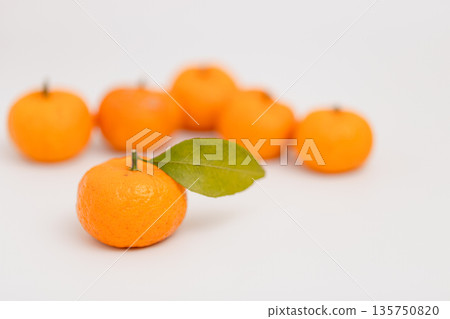 Sakurajima Komikan, said to be the smallest mandarin orange in the world, is a specialty of Kagoshima Prefecture. 135750820