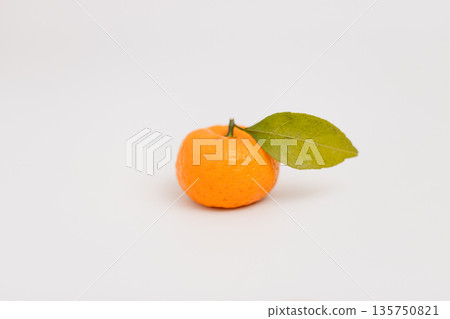 Sakurajima Komikan, said to be the smallest mandarin orange in the world, is a specialty of Kagoshima Prefecture. Sakurajima Komikan, said to be the smallest mandarin orange in the world, is a specialty of Kagoshima Prefecture. 135750821