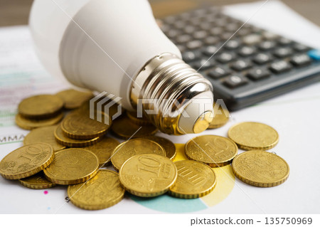 Cost of electric utilities with light bulb for payment. 135750969