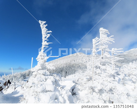 隆冬時的八岳(通往北小岳的登山道上,樹木上覆蓋著霜凍) 隆冬時的八岳(通往北小岳的登山道上,樹木上覆蓋著霜凍) 135751048