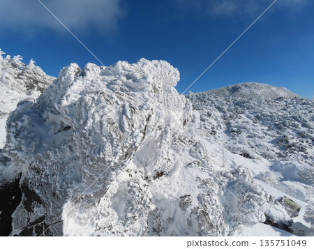 隆冬時的八岳(通往北小岳的登山道上,樹木上覆蓋著霜凍) 隆冬時的八岳(通往北小岳的登山道上,樹木上覆蓋著霜凍) 135751049
