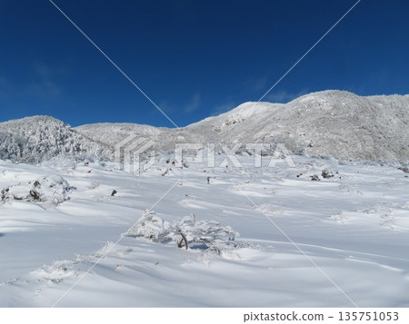 隆冬時的八岳(通往北小岳的登山道上看到的雪原) 隆冬時的八岳(通往北小岳的登山道上看到的雪原) 135751053