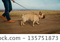 A Person Walking a French Bulldog on a Leash Through a Beautiful Natural Landscape Featuring a Scenic Pathway and Open Terrain Under a Clear Sky 135751873