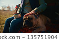 A Relaxing Moment in Nature: Enjoying Coffee While Petting a French Bulldog on a Sunny Day in the Outdoors 135751904