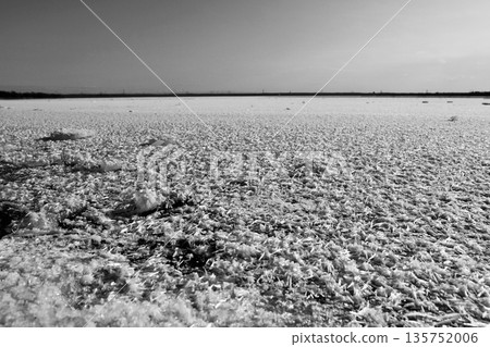 "Frost Flowers" spread across the frozen lake surface against the backdrop of the winter sky. Lake Utonai in January: "Black and White" 135752006