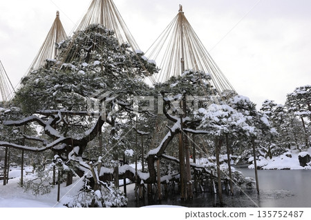 Kenrokuen with beautiful snow hangings Kenrokuen with beautiful snow hangings 135752487