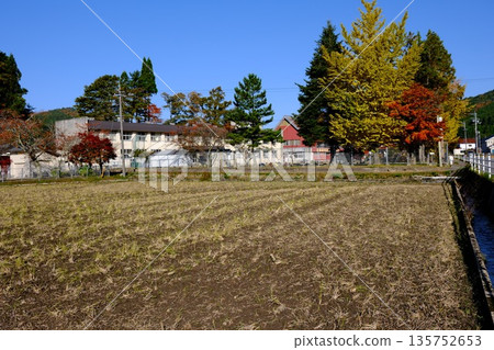Autumn scenery of elementary school and rice fields Autumn scenery of elementary school and rice fields 135752653