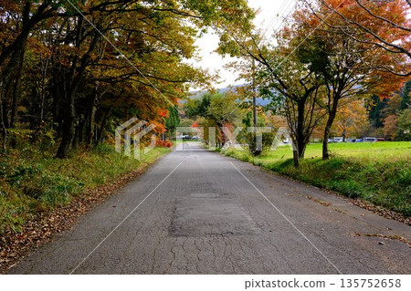 通往高原自然博物館的路 通往高原自然博物館的路 135752658