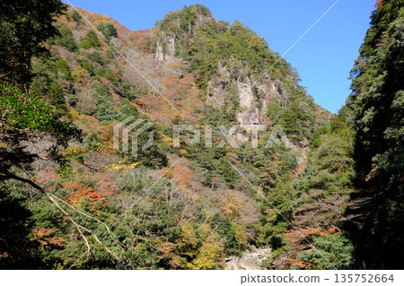 Autumn leaves at Sandankyo Rocky Mountain Autumn leaves at Sandankyo Rocky Mountain 135752664