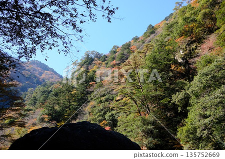 三段峽岩山的楓葉景色 135752669