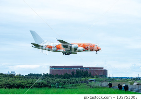 Flying Honu La 降落在機場 135753005