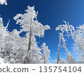 隆冬時的八岳（通往北小岳的登山道上，樹木上覆蓋著霜凍） 135754104