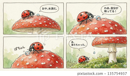 瓢蟲和蘑菇 135754937