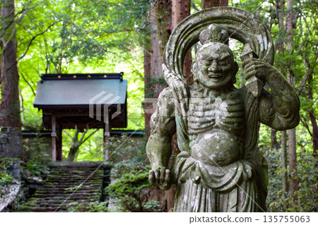 The Nio statues at Futagoji Temple and fresh greenery The Nio statues at Futagoji Temple and fresh greenery 135755063