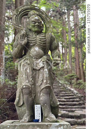 The Nio statues at Futagoji Temple and fresh greenery The Nio statues at Futagoji Temple and fresh greenery 135755070