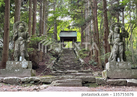 The Nio statues at Futagoji Temple and fresh greenery 135755076