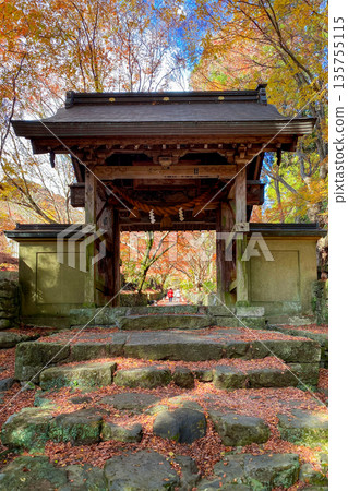 Autumn leaves at Futagoji Sanmon on the Kunisaki Peninsula 135755115